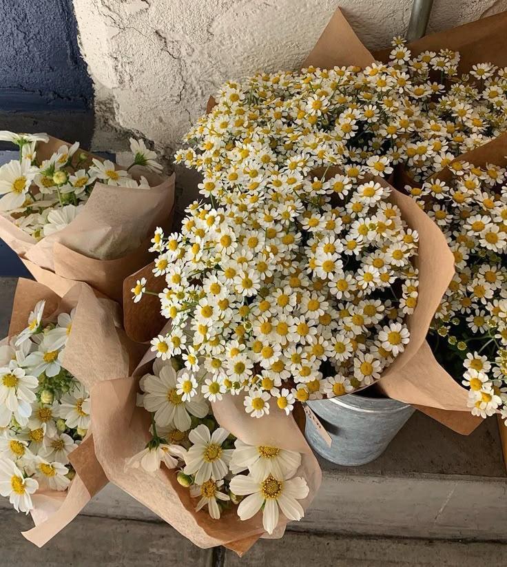 Vintage Elegance: Timeless Petal Array